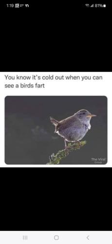 b3199b93-0f53-4562-9f49-6413aa26ccb2