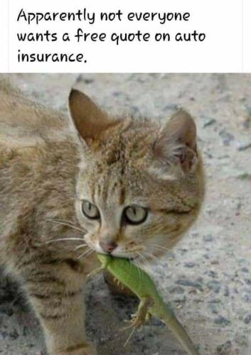 76b2e346faecccd99ca6b33e95de316f