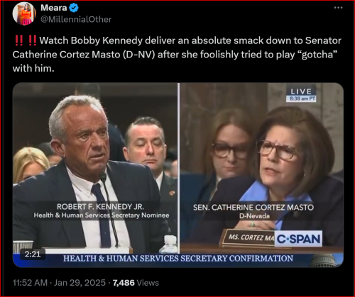 Screenshot 2025-01-30 123817