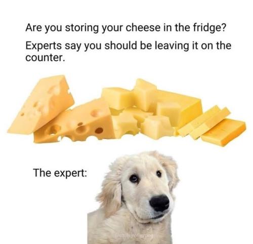 are-storing-cheese-fridge-experts-say-should-be-leaving-on-counter-expert-smileywileydog