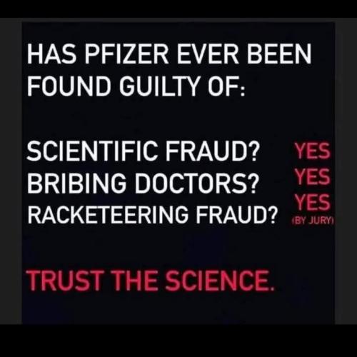 FB_IMG_1736098772712