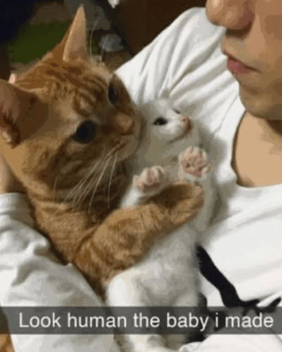 look-human-baby-made