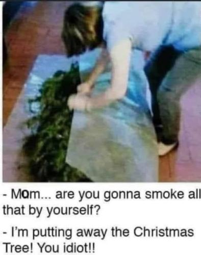 8DBEF56B-A8FC-4E06-95EC-9C1B75F31F9B