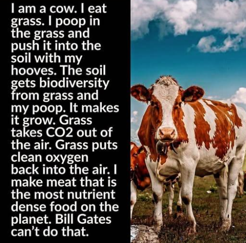 image_2025-01-24_064511000