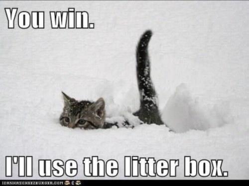 8b668bf32eb13524a542b35af0ca78bc