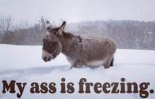 Screenshot_20250122_065509_Gallery