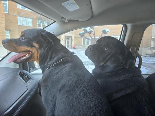 59538f8b-a2a1-415c-8f4a-1905e52b12a9