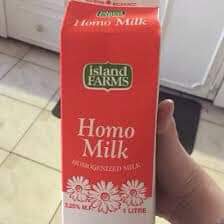 HOMO MILK FB_IMG_1681347207191