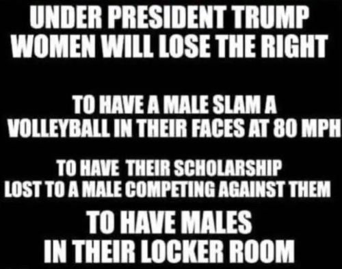 image_2025-01-24_062740751