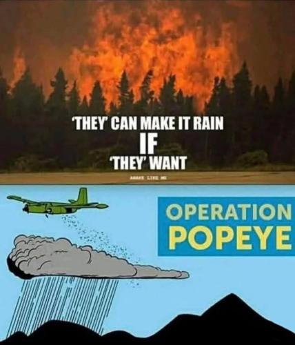 photo_2025-01-12_20-58-11