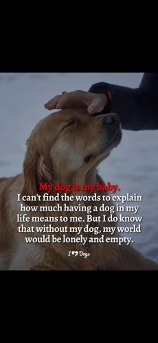 Screenshot_20250103_205226_Gallery