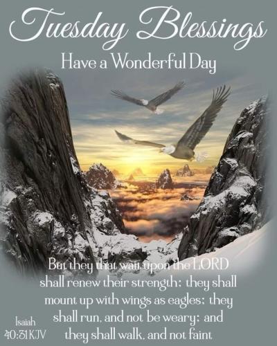 morning winter tuesday 1