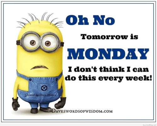 minion-mondaycant-1024x822