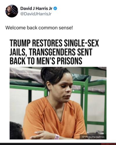 bcdd46918dabe431ab6b9da760e5fde3a12317d52b77f53532a2503f8bd09f2b_1