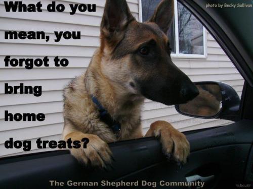 8c7a2d93337b71b217dce4ff16bf45c4