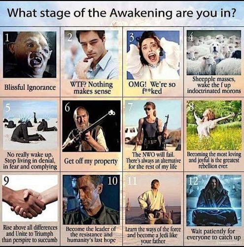 IMG_20250112_171158_315