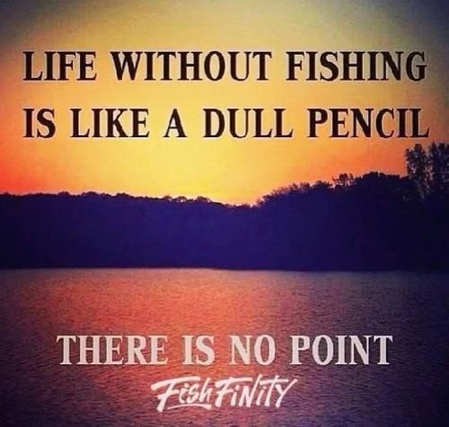 FB_IMG_1736524487444