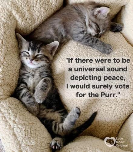 FB_IMG_1735879523511