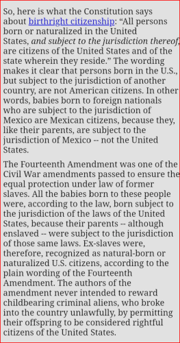 Anchor Babies 1