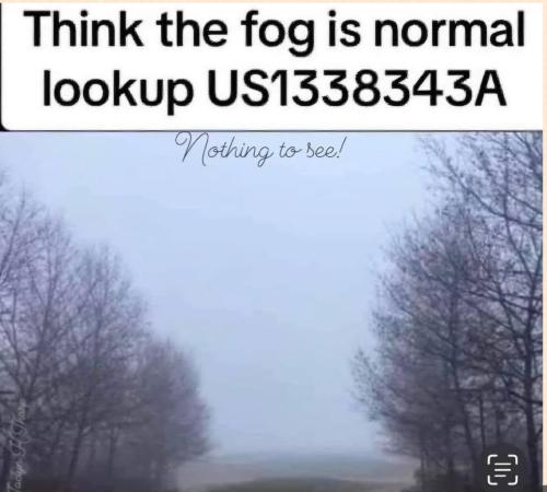 Fog 1