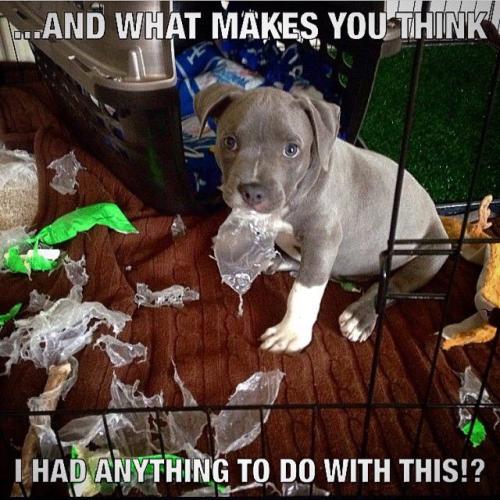 3806f28424e2ebc2ea310492249ca703