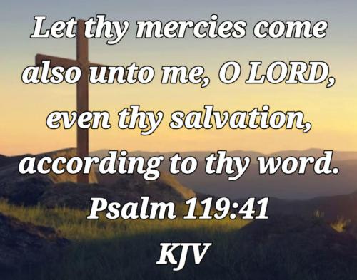 bae0c361-60c5-4acf-b890-c44c41142cf5