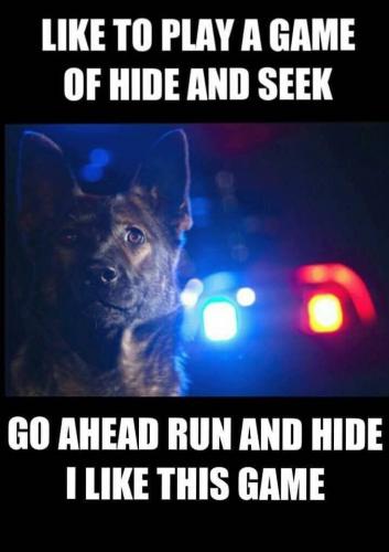 16140e370b7228ea4d1ebd85b80abaab