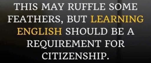 Screenshot_20250131-073148