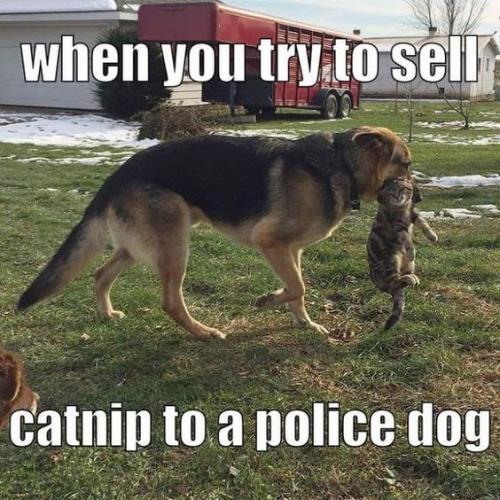 3d7312924849eac49b79c5d1c70ad0f3