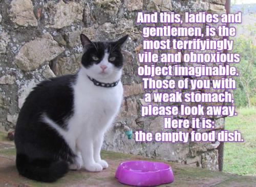 b83b1a108509914d873c2396f66f81a0