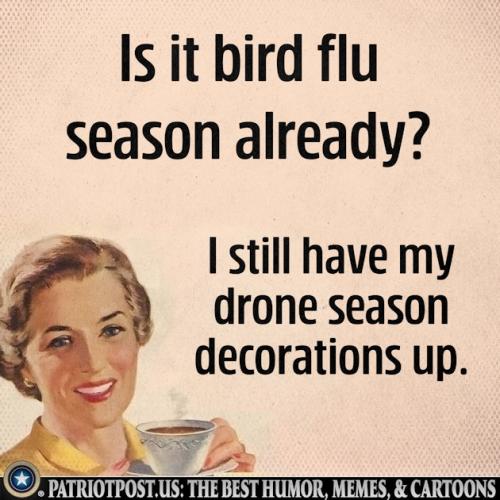 01JGXZ36DPZZ08SFWYV904PTW7