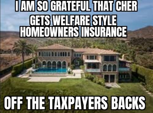 ZomboMeme 21012025082750