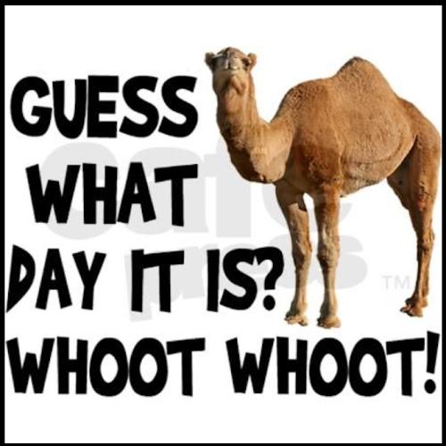 1-Hump Day