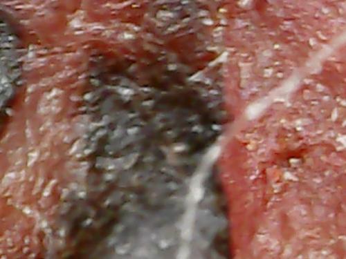 SPINE BASE HYDRO GEL PROGRESS (15)