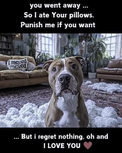 FB_IMG_1737397325568