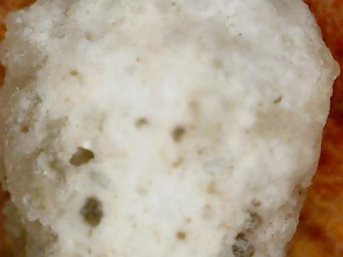 NECK BASE POLYMER NODE (4)