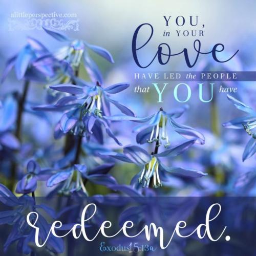 exo-15-13-unsplash-9x-768x768