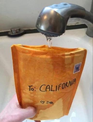 image_EBE94815-F2E8-4637-9207-71BA31584563