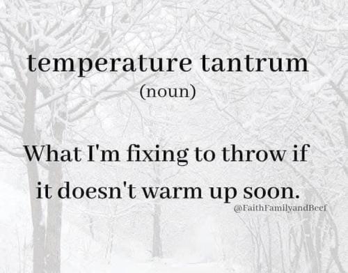 FB_IMG_1737685535574