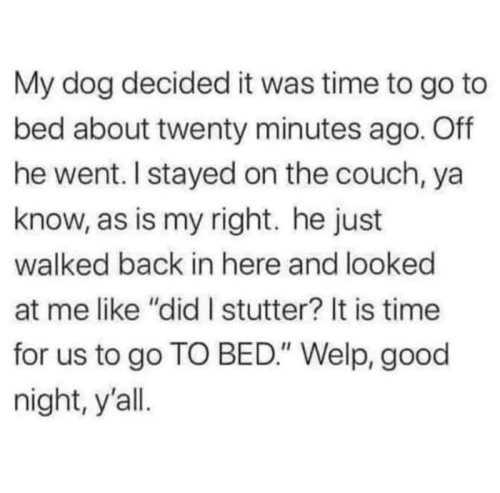 he-just-walked-back-here-and-looked-at-like-did-stutter-is-time-us-go-bed-welp-good-night-yall