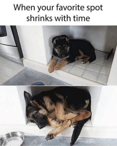 favorite-spot-shrinks-with-time