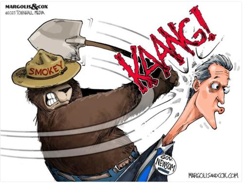 2179b784-c33c-498c-8c7c-c9073371876f