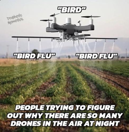 photo_2025-01-03_20-29-06