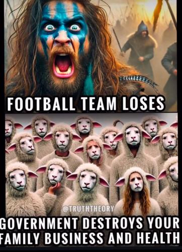 IMG_20250105_190950_594