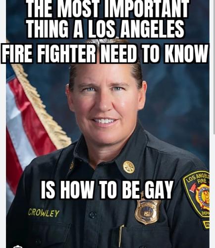 ZomboMeme 09012025073446