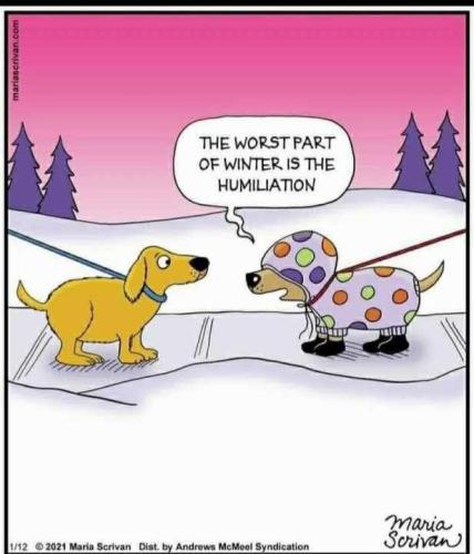 Resized_FB_IMG_1737915069681(1)