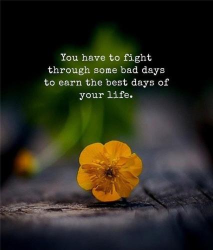 473753644_550057894742046_2920164390247887873_n