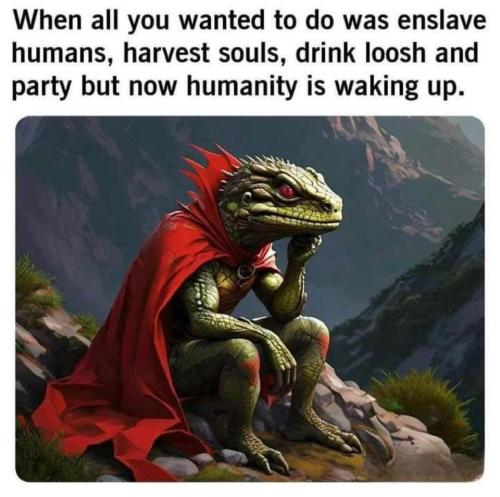 photo_2025-01-03_22-16-57