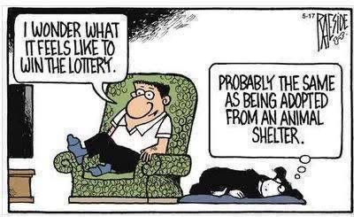 F3685BC8-1746-4427-B556-90A2C3B6CF53