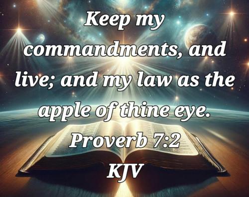 dd16c981-be66-4b7d-b9cd-c7013e6146c8